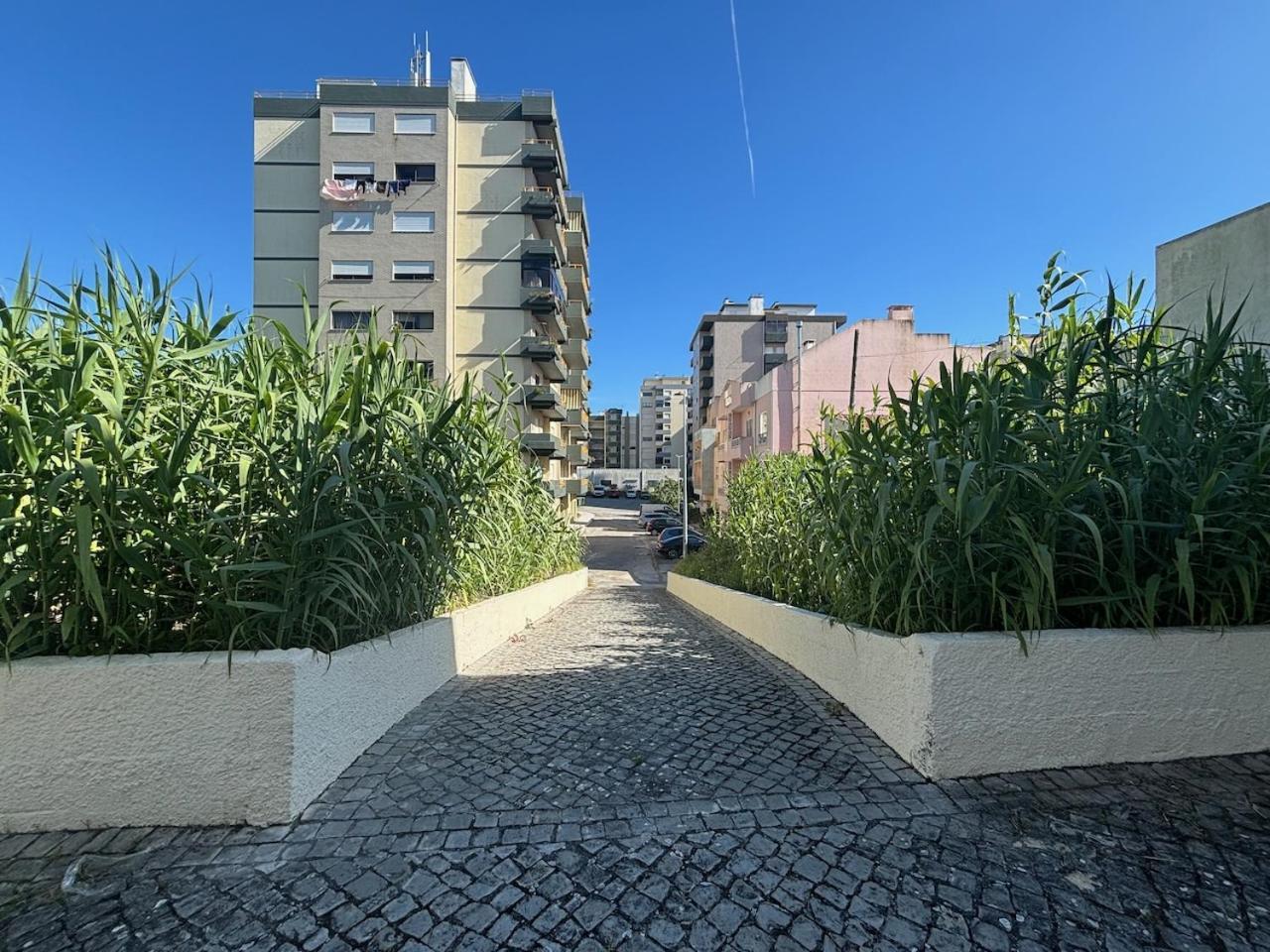 Rosario - Two Bedroom Apart- Buarcos - Фигейра да Фош Екстериор снимка